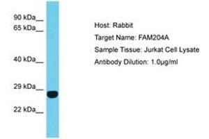 Image no. 1 for anti-Family with Sequence Similarity 204, Member A (FAM204A) (AA 27-76) antibody (ABIN6750654)