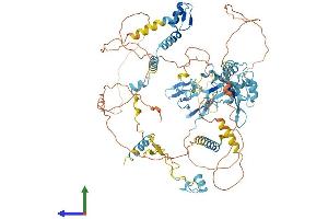 AlphaFold protein structure predicition of Mouse Recombinant Rbm5 Protein, UniprotID Q91YE7