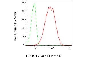Flow cytometric analysis of NDRG1 expression in HT- cells using NDRG1 antibody (ABIN7799536), 1:2,000). (Rekombinanter NDRG1 Antikörper)