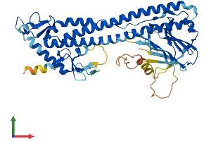 AlphaFold protein structure predicition of Human Recombinant TRIM49C Protein, UniprotID P0CI26