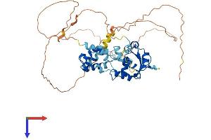 ETS1 Protein (AA 1-440) (His tag)