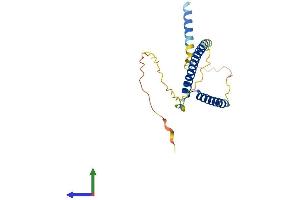 Protein Structure (PS) image for MAX Dimerization Protein 4 (MXD4) (AA 1-209) protein (His tag) (ABIN7549145)