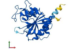 Protein Structure (PS) image for Pyroglutamyl-Peptidase I (PGPEP1) (AA 1-209) protein (His tag) (ABIN7561486)