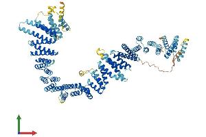Protein Structure (PS) image for Testis Expressed 11 (TEX11) (AA 1-947) protein (His tag) (ABIN7563634)
