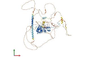 Protein Structure (PS) image for Protein Phosphatase 1, Regulatory Subunit 13 Like (PPP1R13L) (AA 1-828) protein (His tag) (ABIN7554138)