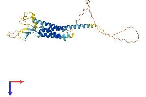 CACNG3 Protein (AA 1-315) (His tag)