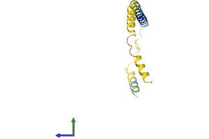 Protein Structure (PS) image for Dexamethasone-Induced Transcript (DEXI) (AA 1-95) protein (His tag) (ABIN7547108)