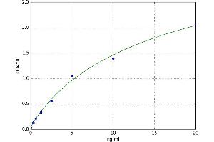 HLA Class I Histocompatibility Antigen, B-27 alpha Chain (HLA-B27) ELISA Kit