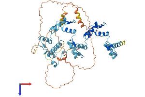 ZNF643 Protein (AA 1-534) (His tag)