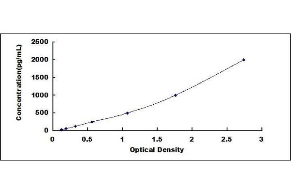 FKBP1A ELISA Kit