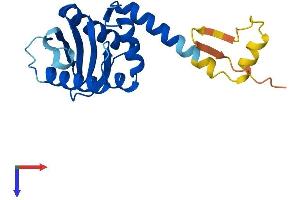 AP3S1 Protein (AA 1-193) (His tag)