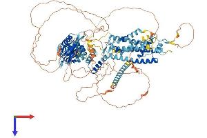 KCNH3 Protein (AA 1-1083) (His tag)