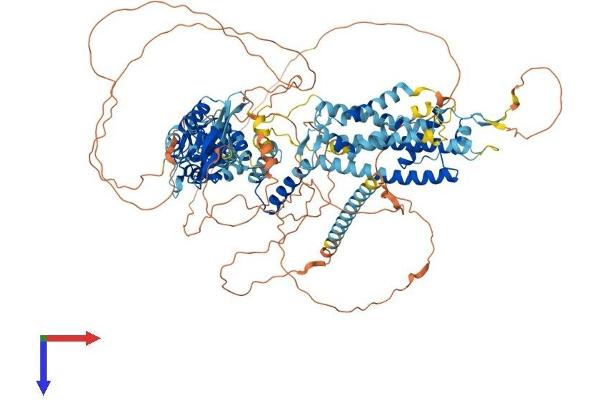 KCNH3 Protein (AA 1-1083) (His tag)
