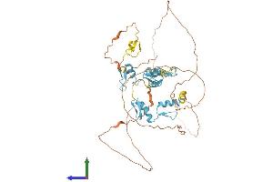 Protein Structure (PS) image for Pleiomorphic Adenoma Gene-Like 2 (PLAGL2) (AA 1-496) protein (His tag) (ABIN7550722)
