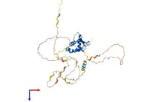 FOXI1 Protein (AA 1-372) (His tag)