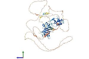 Protein Structure (PS) image for Dishevelled, Dsh Homolog 3 (Drosophila) (DVL3) (AA 1-716) protein (His tag) (ABIN7557655)
