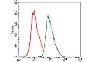 Flow cytometric analysis of HeLa cells using CEBPA mouse mAb (green) and negative control (red). (CEBPA Antikörper)