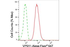 Flow cytometric analysis of VPS11 expression in HepG2 cells using VPS11 antibody (ABIN7800812), 1:2,000). (Rekombinanter VPS11 Antikörper)