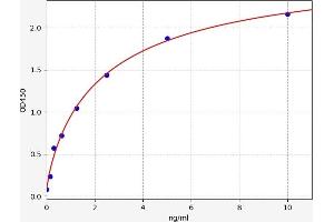 Typical standard curve (GPC2 ELISA Kit)