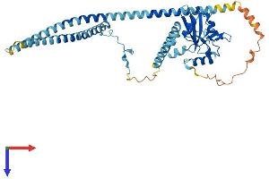 AlphaFold protein structure predicition of Human Recombinant SH2D4B Protein, UniprotID Q5SQS7