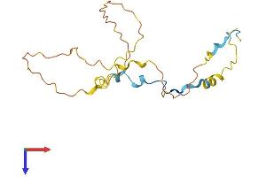 TTDN1 Protein (AA 1-178) (His tag)