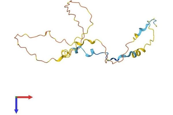 TTDN1 Protein (AA 1-178) (His tag)