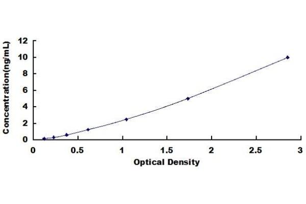 ATG12 ELISA Kit