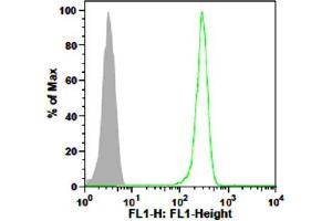 Flow cytometry from mouse Fcamr expressing Ba/F3 cells. (FCAMR Antikörper)