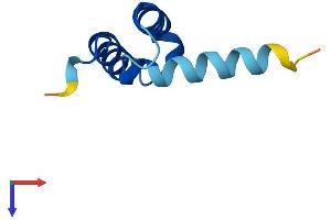CMC4 Protein (AA 1-68) (Fc Tag)