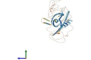 AlphaFold protein structure predicition of Mouse Recombinant Ankrd26 Protein, UniprotID Q811D2