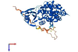 Ethanolamine Kinase 2 Protein (ETNK2) (AA 1-386) (His tag)