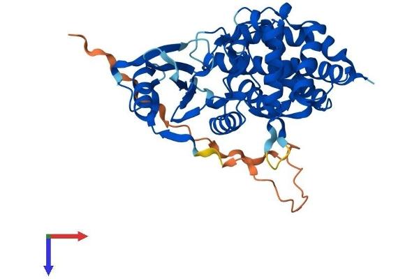 Ethanolamine Kinase 2 Protein (ETNK2) (AA 1-386) (His tag)