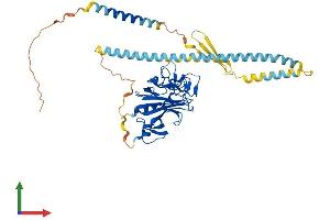 Protein Structure (PS) image for Fibrinogen C Domain Containing 1 (FIBCD1) (AA 1-459) protein (His tag) (ABIN7561962)