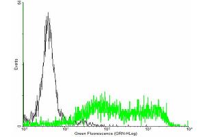 FACS analysis of negative control 293 cells (Black) and ULBP2 expressing 293 cells (Green) using ULBP2 purified MaxPab mouse polyclonal antibody. (ULBP2 Antikörper  (AA 1-246))