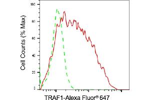 Flow cytometric analysis of TRAF1 expression in Raji cells using TRAF1 antibody (ABIN7800562), 1:2,000). (TRAF1 Antikörper)
