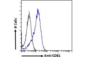 ABIN6391405 Flow cytometric analysis of paraformaldehyde fixed Jurkat cells (blue line), permeabilized with 0. (CD81 Antikörper  (Internal Region))