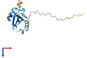 AlphaFold protein structure predicition of Human Recombinant C22orf15 Protein, UniprotID Q8WYQ4