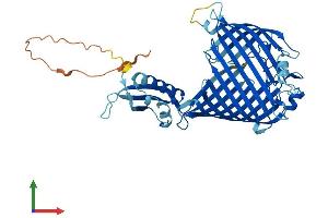 Protein Structure (PS) image for Sorting and Assembly Machinery Component 50 Homolog (SAMM50) (AA 1-469) protein (His tag) (ABIN7558555)