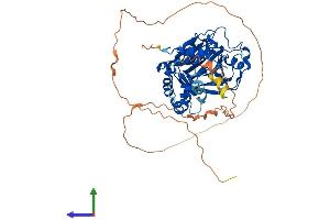 Protein Structure (PS) image for Lysine (K)-Specific Demethylase 4D (KDM4D) (AA 1-510) protein (His tag) (ABIN7557137)