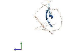AlphaFold protein structure predicition of Human Recombinant KRT9 Protein, UniprotID P35527
