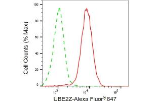 Flow cytometric analysis of UBE2Z expression in HepG2 cells using UBE2Z antibody (ABIN7800755), 1:2,000).