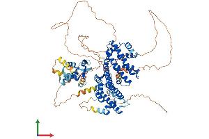 Protein Structure (PS) image for Regulatory Factor X 3 (RFX3) (AA 1-749) protein (His tag) (ABIN7555203)