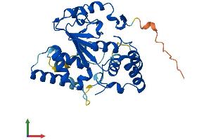 Protein Structure (PS) image for Sulfotransferase Family 4A, Member 1 (SULT4A1) (AA 1-284) protein (His tag) (ABIN7556640)