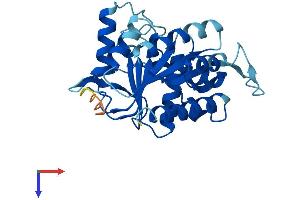 NUBP2 Protein (AA 1-275) (His tag)