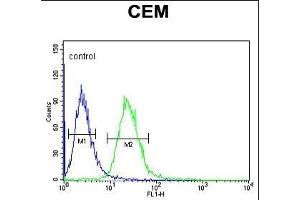 EDIL3 Antibody (Center) (ABIN652953 and ABIN2842608) flow cytometric analysis of CEM cells (right histogram) compared to a negative control cell (left histogram).