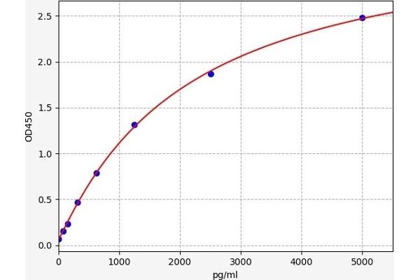 Monoamine Oxidase B ELISA Kit