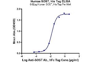 ELISA image for Sclerostin (SOST) (AA 24-213) protein (His-Avi Tag) (ABIN7275636)
