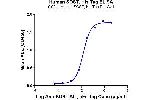 Immobilized Human SOST, His Tag at 0. (Sclerostin Protein (SOST) (AA 24-213) (His-Avi Tag))
