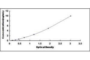 Typical standard curve (ATP1B4 ELISA Kit)