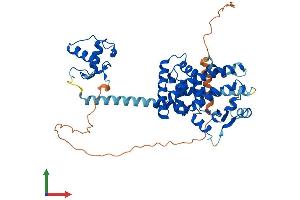 Protein Structure (PS) image for Peroxisome Proliferator-Activated Receptor alpha (PPARA) (AA 1-468) protein (His tag) (ABIN7562973)